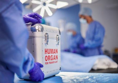 image - 2025-09-13T140535.911